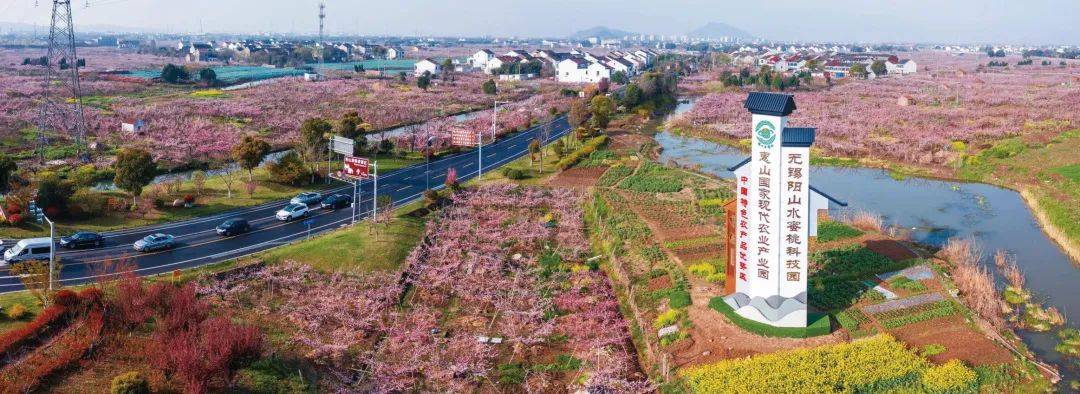 日前,阳山镇桃源村引进第一家咖啡馆——仙木里咖啡,屋顶以安阳山,长