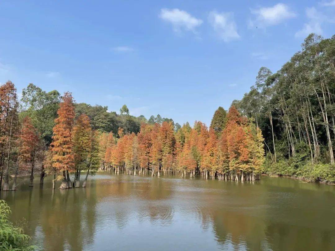 大型活动【南海西樵西岸山地徒步】3月18日周六 感受不一样的西岸!