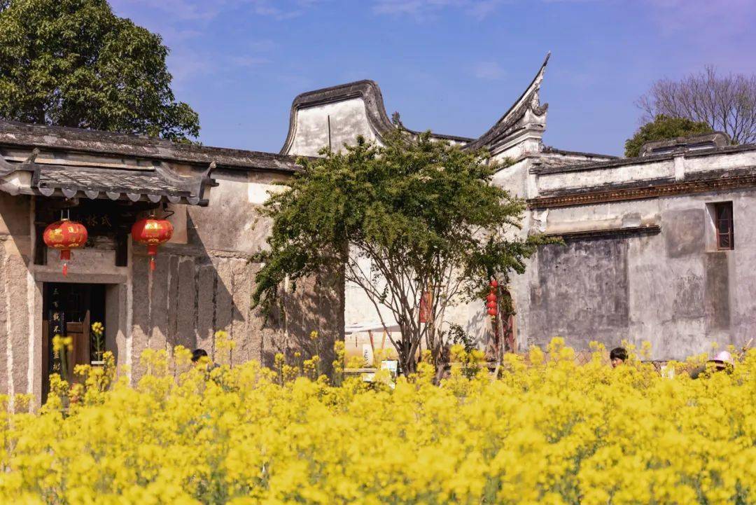 春光无限好,一起"村"游吧_梁厝_历史_古村