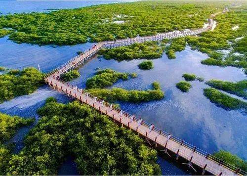 北海,合浦共计6个景区为全国这类人减免门票_优待_军人_首道