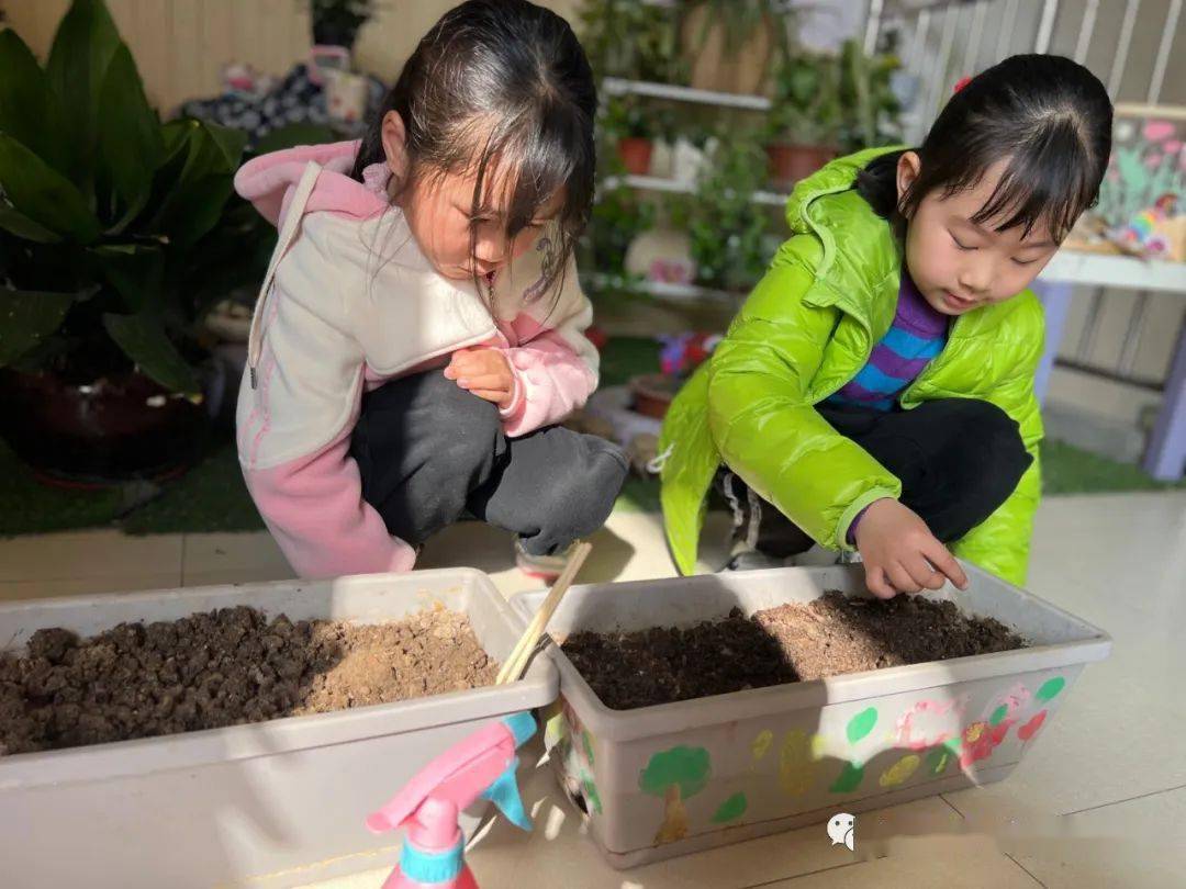 时光恰好,遇见春天——阳光天润幼儿园大三班主题活动_小朋友_美食