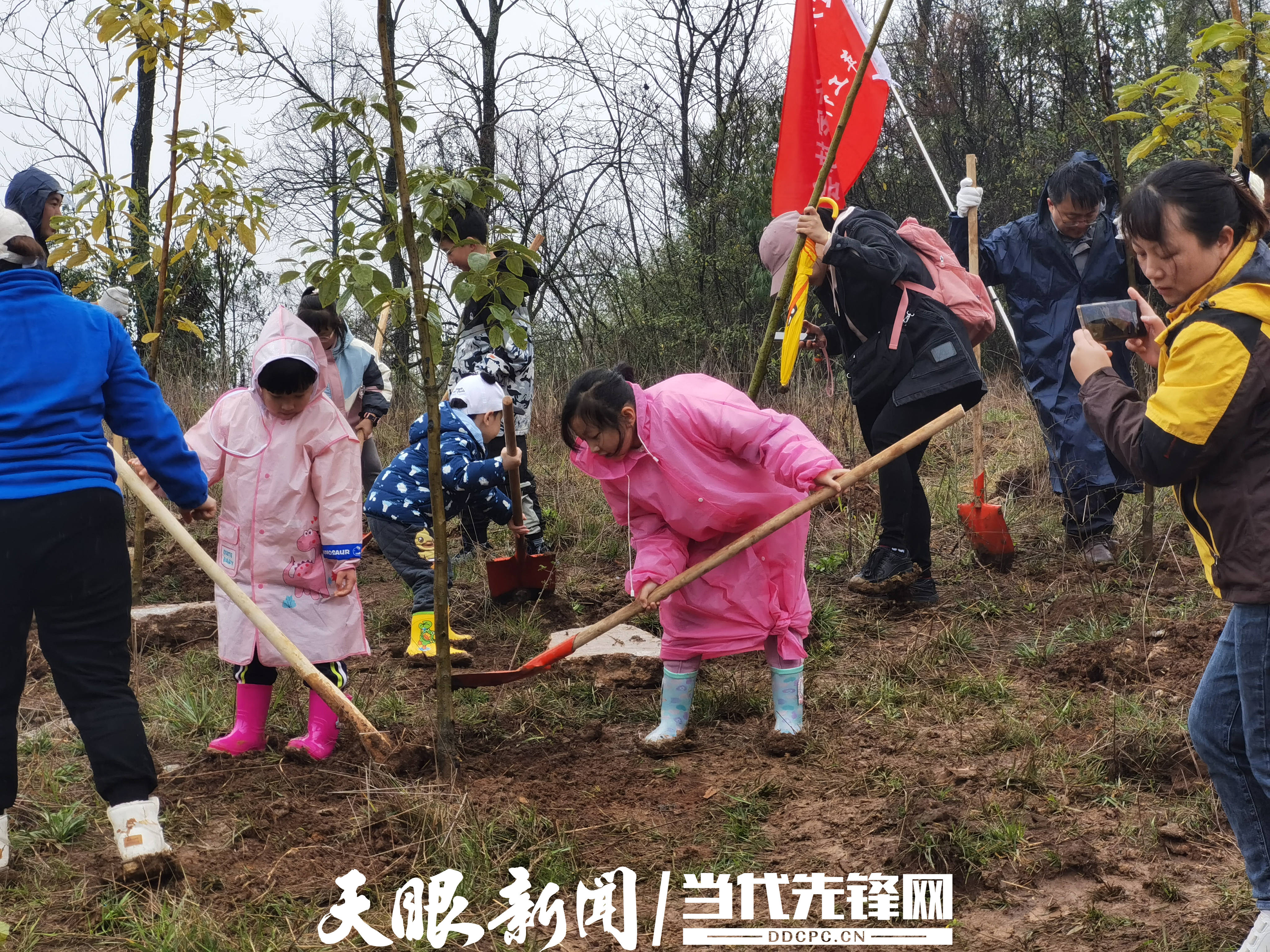 【第45个中国植树节】“植”此青绿，多彩贵州将来可期！