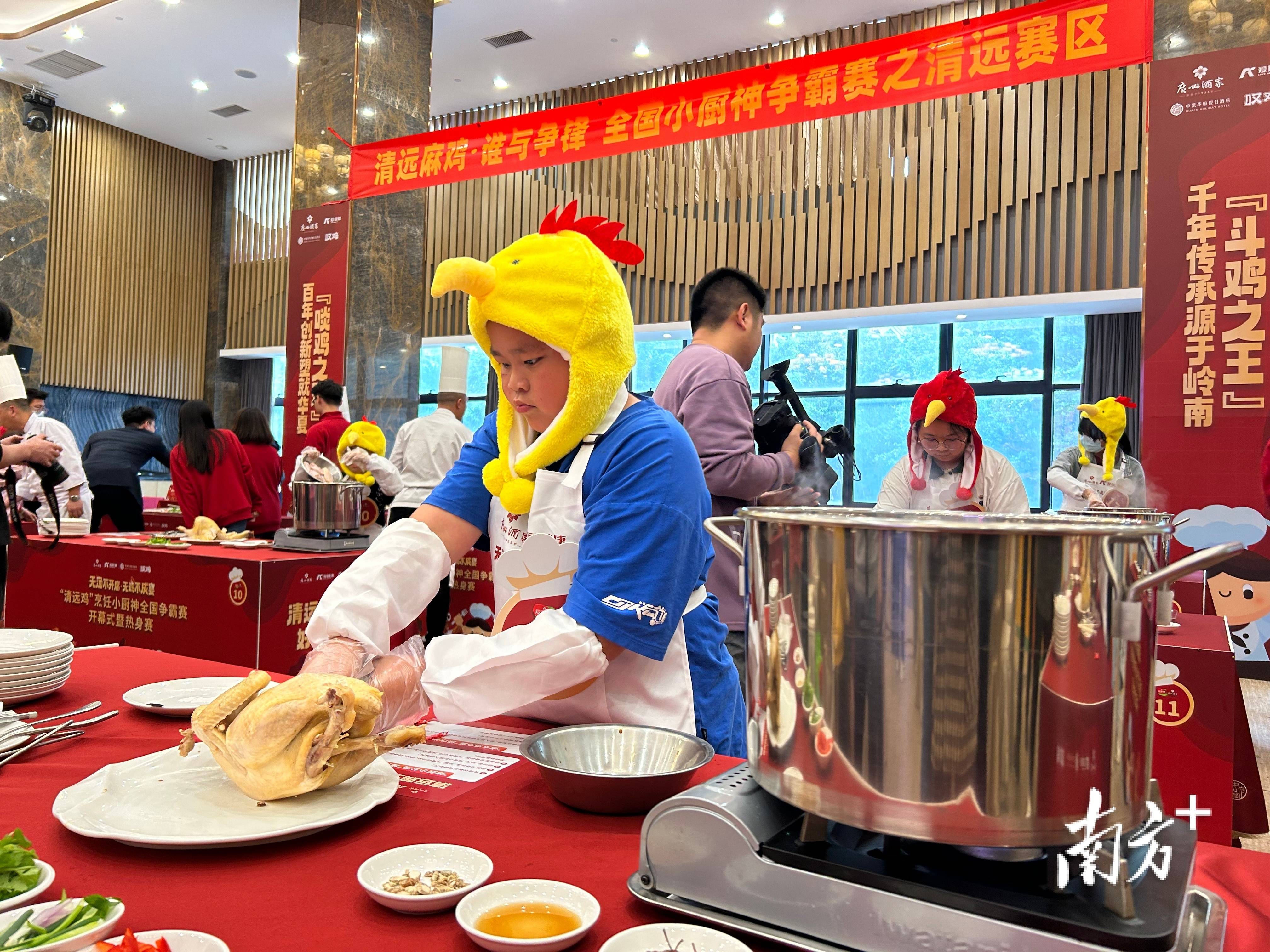 鞭策清远鸡财产高量量开展助力百亿起飞，“清远鸡烹调小厨神全国争霸赛”在清爽区开赛