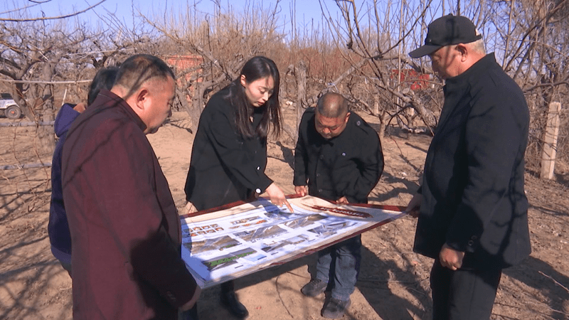青县盘古镇大盘古村_进行_发展_乡村