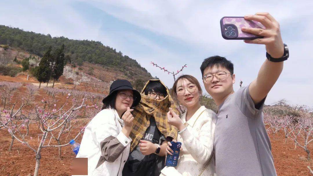 千红的花卉轮番绽放勾绘出一幅春光明媚的斑斓图景牟定海棠花(通讯员