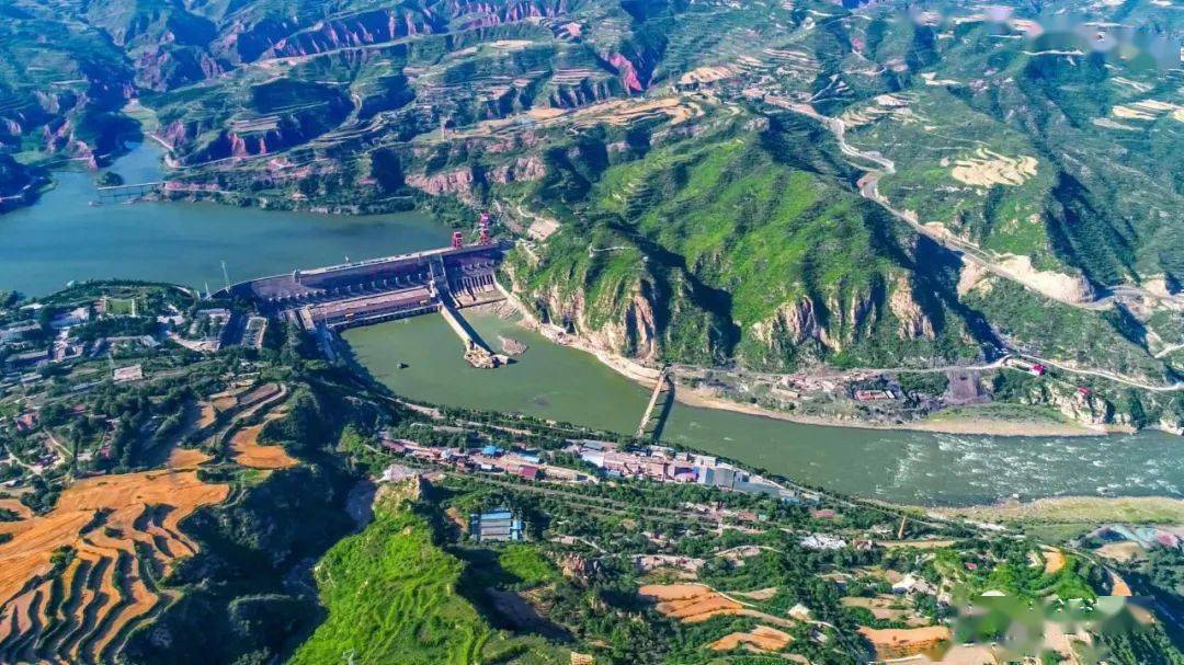 【湖滨风光】系列报道之四:张明云摄影风采展_三门峡_白天鹅_生态