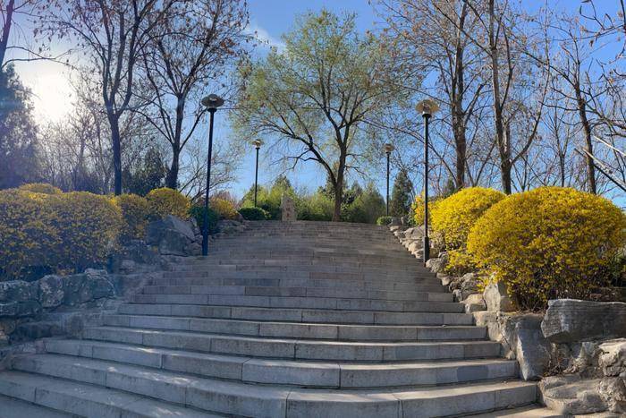 处处公园处处春① | 高新区马山坡公园:寻觅山水间都市桃花源_建设