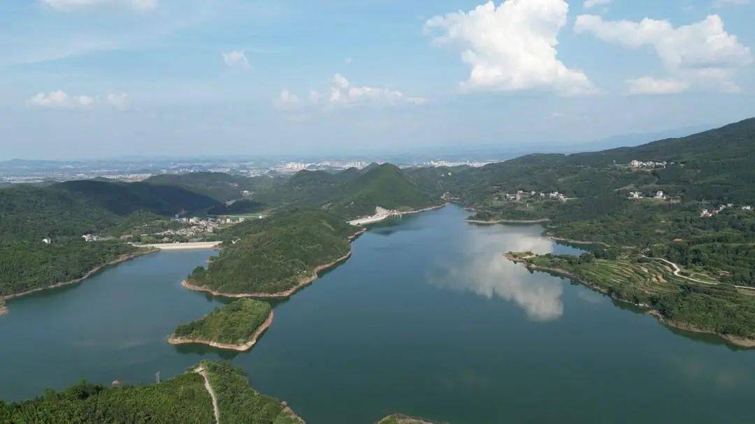 1万斤鱼苗今天流入盘江水库_保护_嘉禾_活动