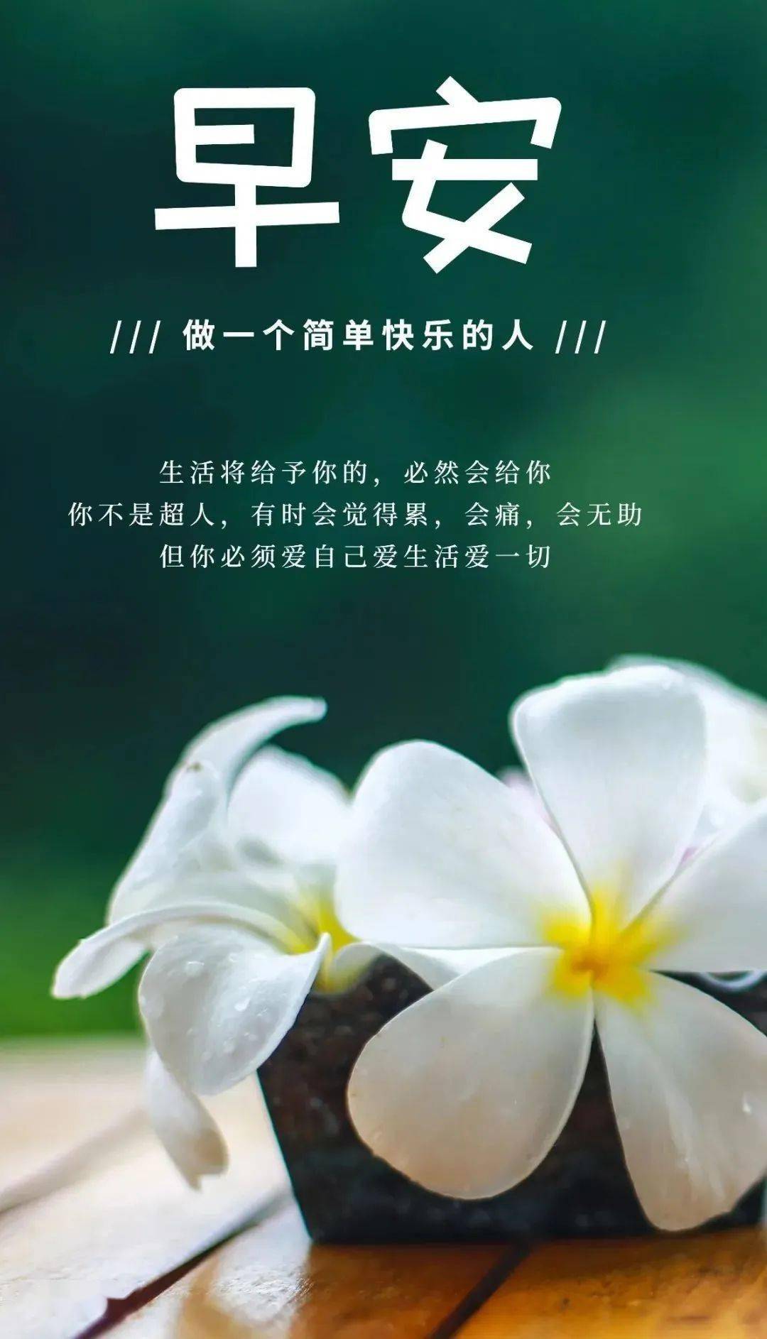 3月14日 | 早安 · 心语_人生_是一种_好日子