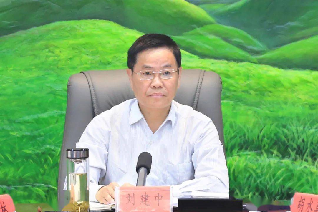 国网萍乡供电公司副总经理胡水朝,区领导巫丰林,区属相关部门,彭高镇