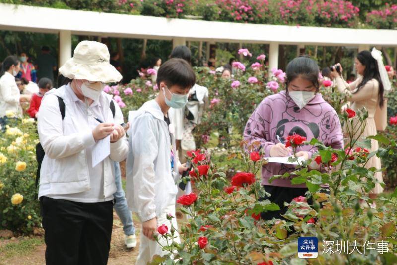 罗湖区妇联组织100个深港家庭游园赏花 设有兴趣亲子游戏