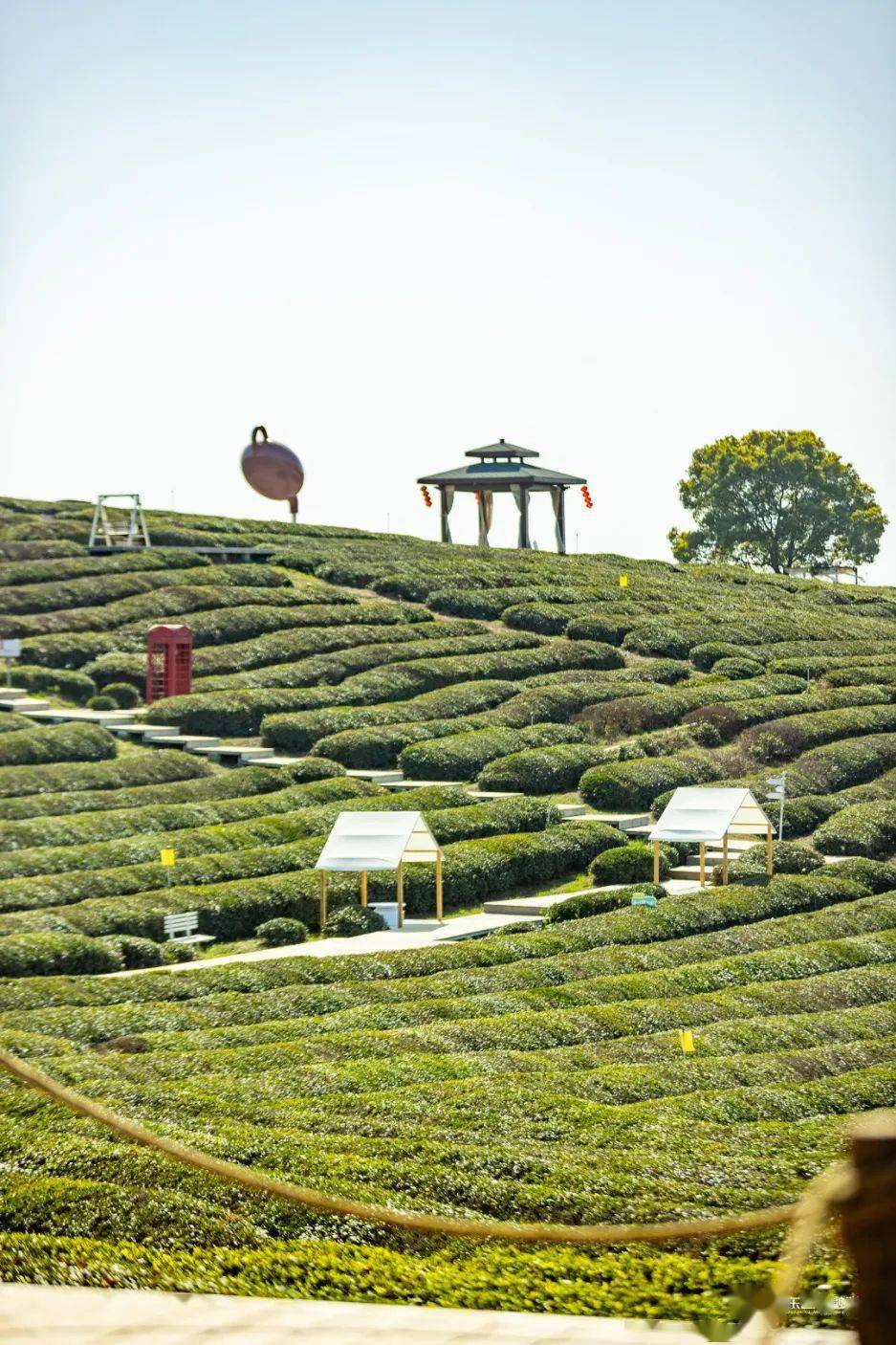 东西湖风景区图片