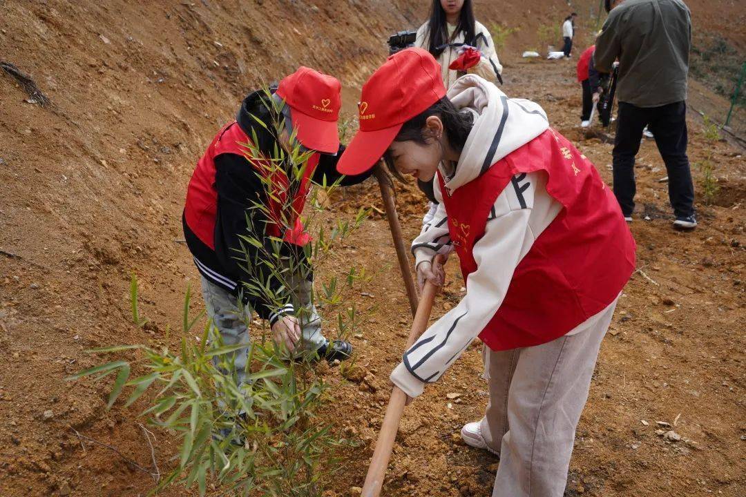 大学生植树节浇水图片图片