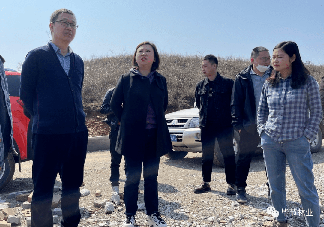调研组沿赤水河流域一线,先后深入金沙县,百里杜鹃管理区,大方县和