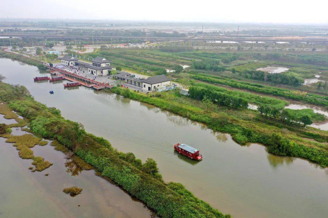 珠海平沙新城湿地公园图片