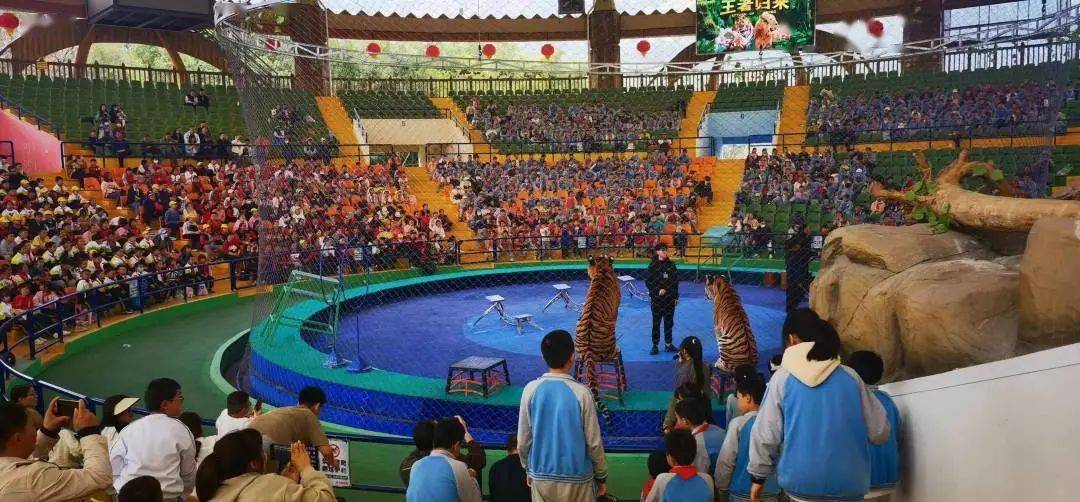 研学季火爆|2023龙之梦动物世界春季研学游欢乐启动啦!