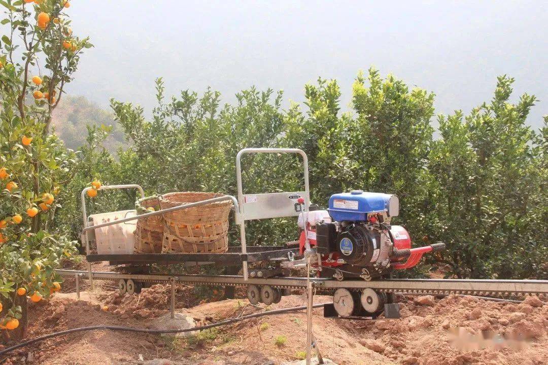 近日,祥云县第一部山地果园轨道运输车在下庄镇沐旁村试用成功,改变了