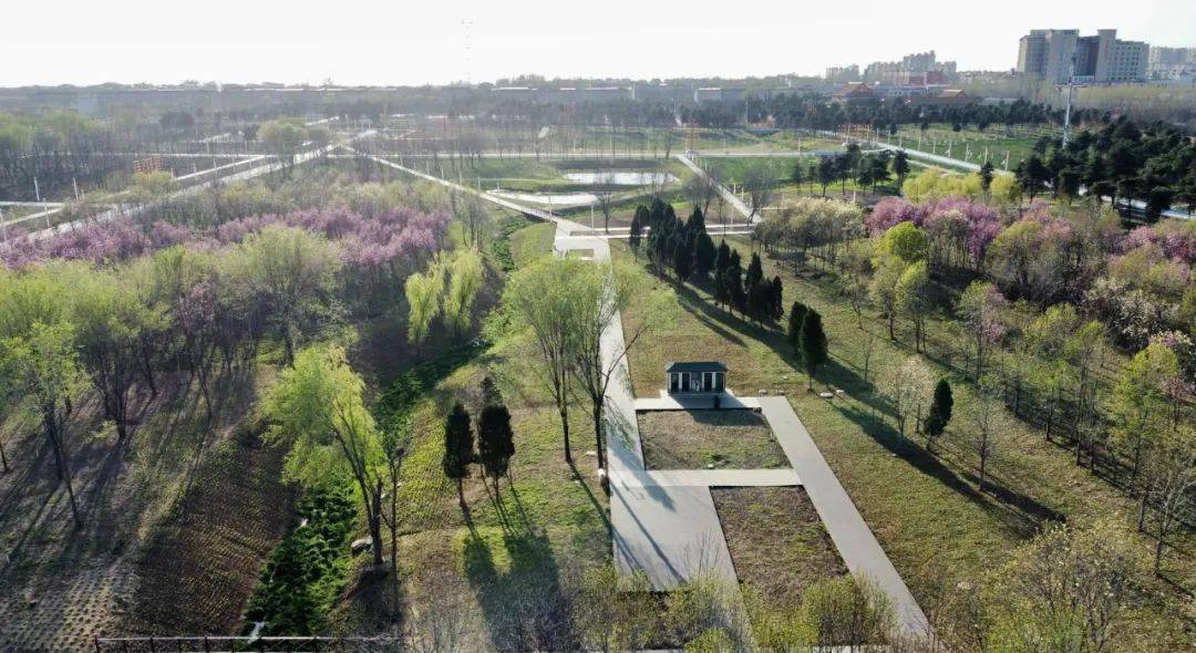 春暖花开,在上蔡县蔡明园公园里,鲜花绽放,一片生机盎然的美好景象