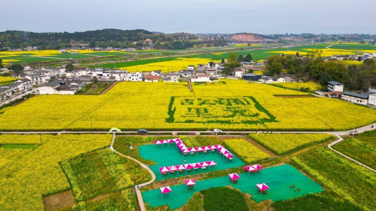 節會搭臺 德陽羅江促進農文旅融合發展_文化_鄉村_油菜花