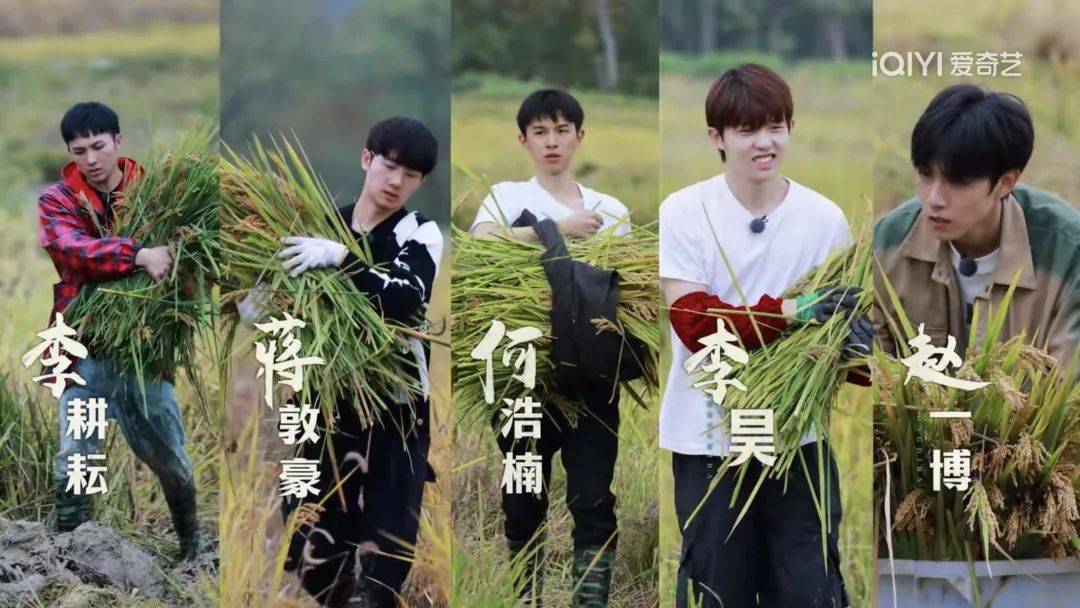《种地吧》:一群少年撑起一档内娱活综艺_节目_水稻_机器
