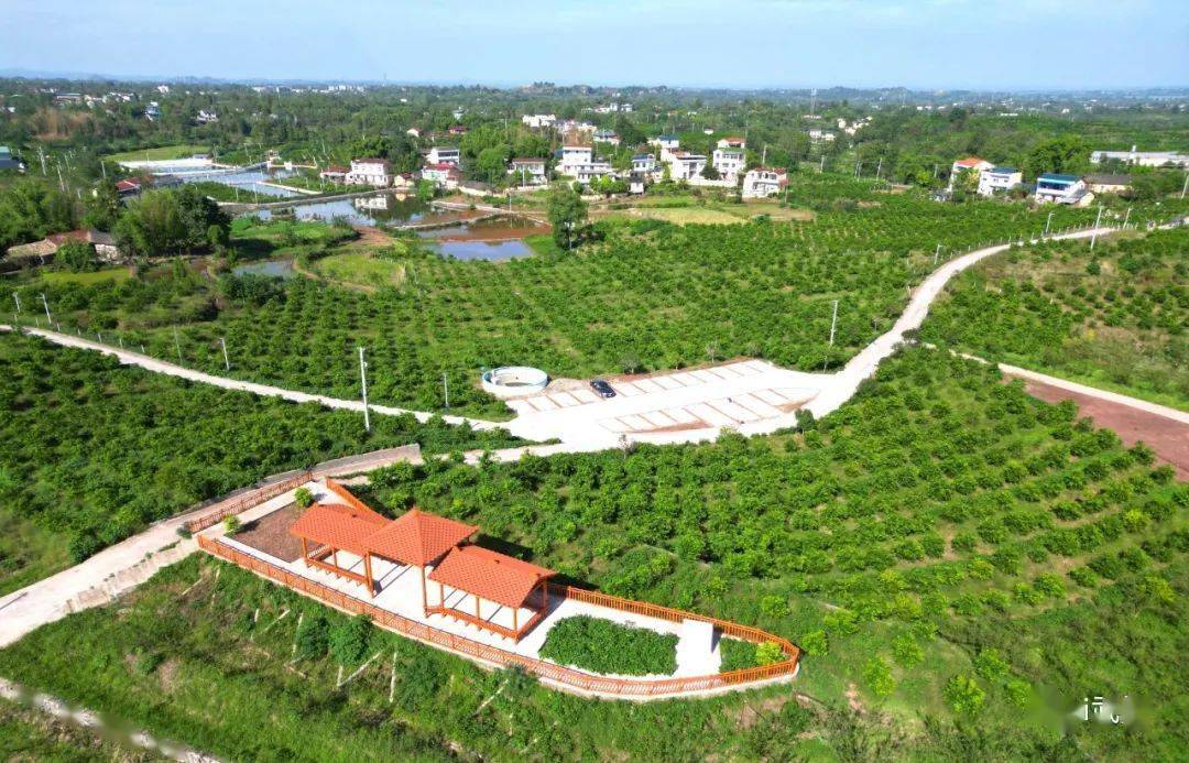 武胜这个村上榜国家级名单_发展_胜利镇_柑桔