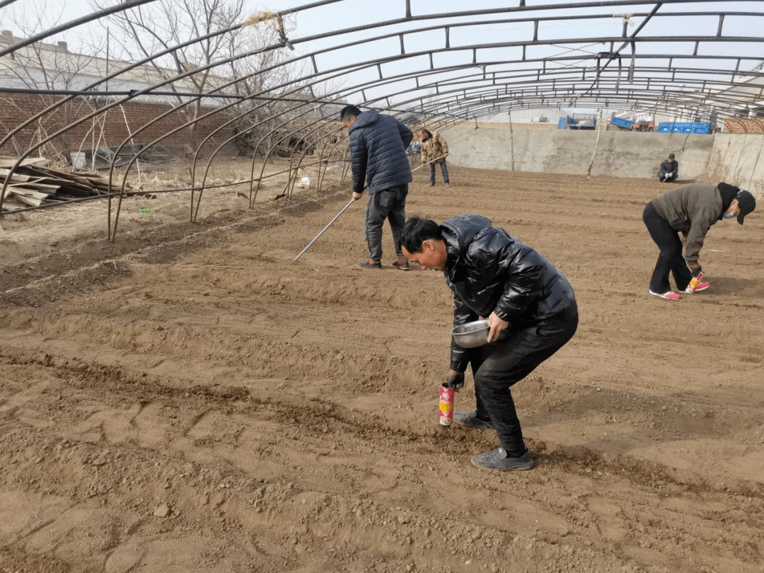 通辽市开鲁县高标准推进现代农业示范项目建设-新闻中心-内蒙古新闻网