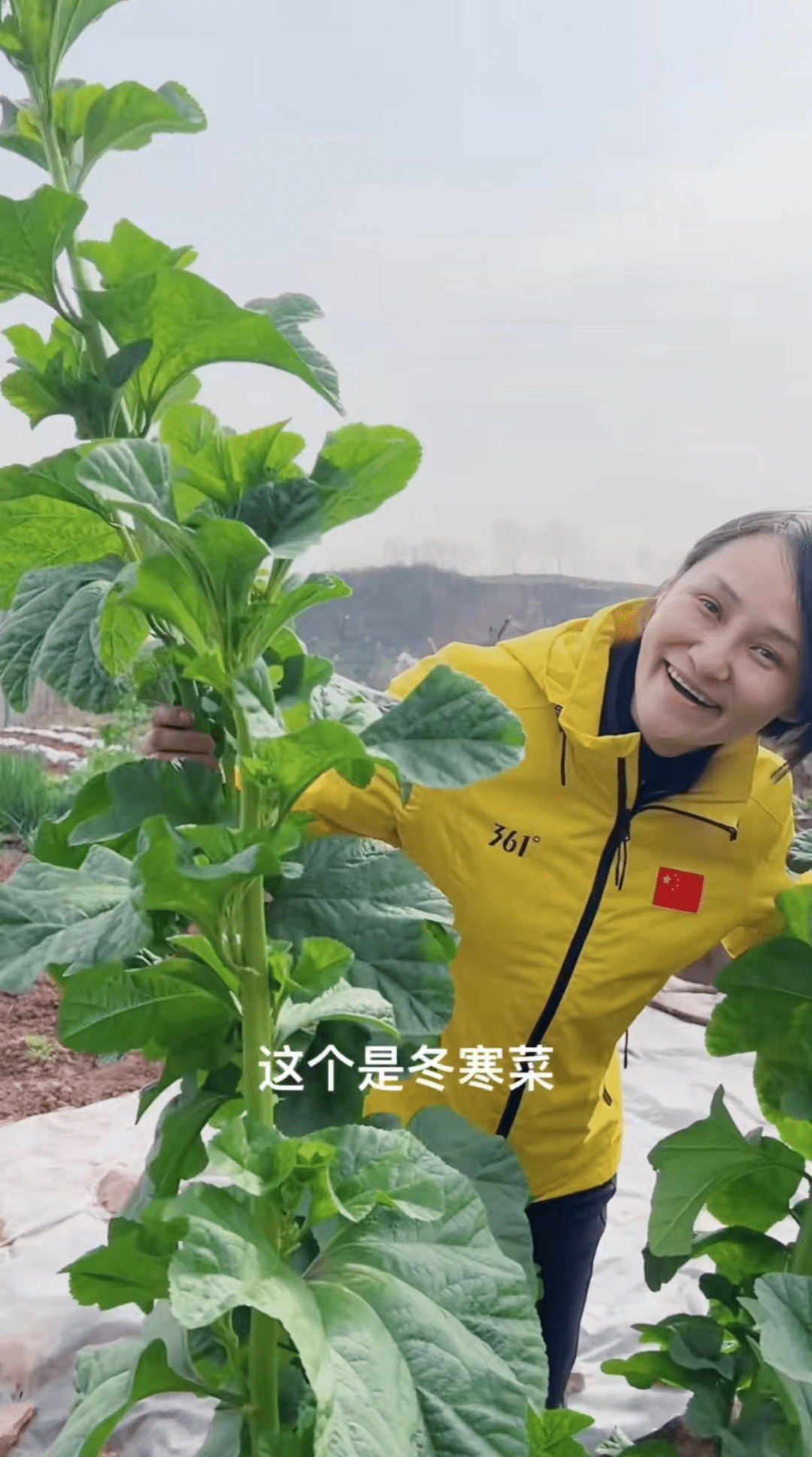 拿锄头种地当街砍甘蔗,素颜冻龄大长腿吸睛_生活_网友_丈夫