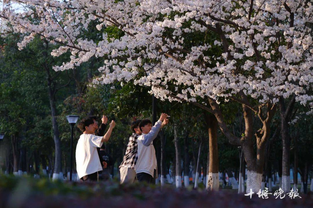 十堰那所大学官宣！今起，开启