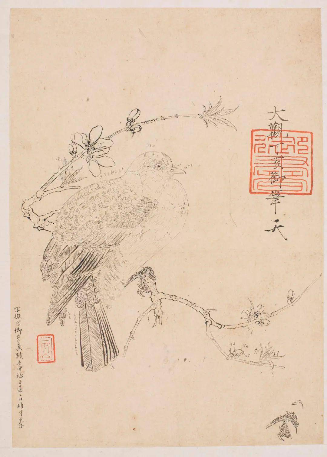 师法·研法·取法——探黎雄才先生花鸟画之道_手机搜狐网