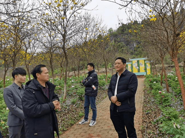 县委副书记,统战部部长杨君毅率队到舂陵江镇定心村,调研郴州(桂阳)