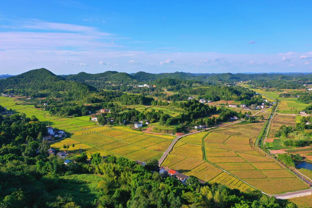 四川南充西充县以"花"为媒,农文旅融合发展振兴乡村_田园_农产品_活动