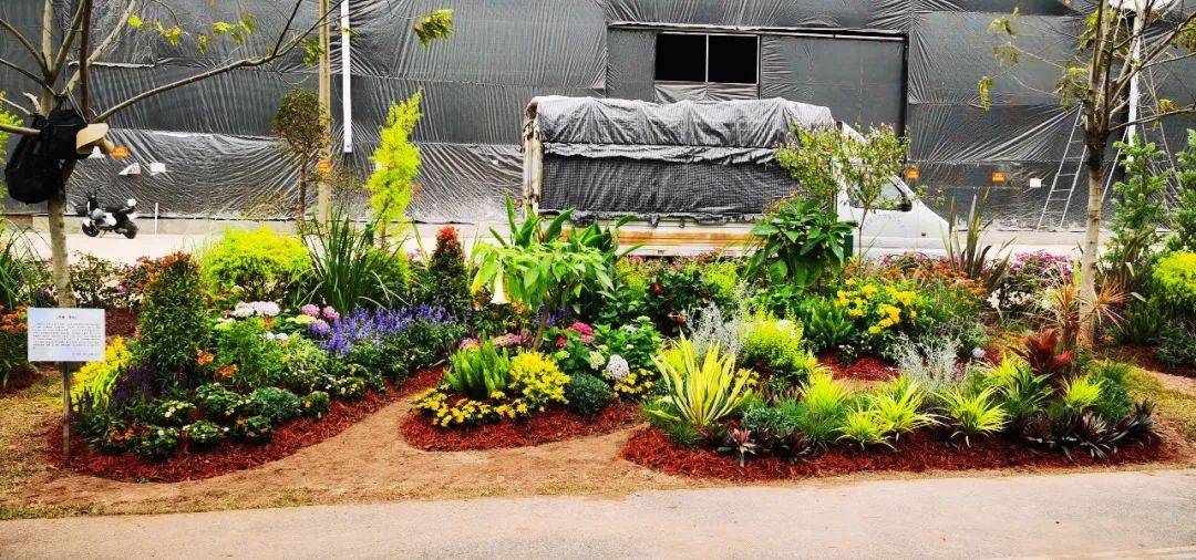 更展现出多种植物之间,植物与自然环境组合的群体美