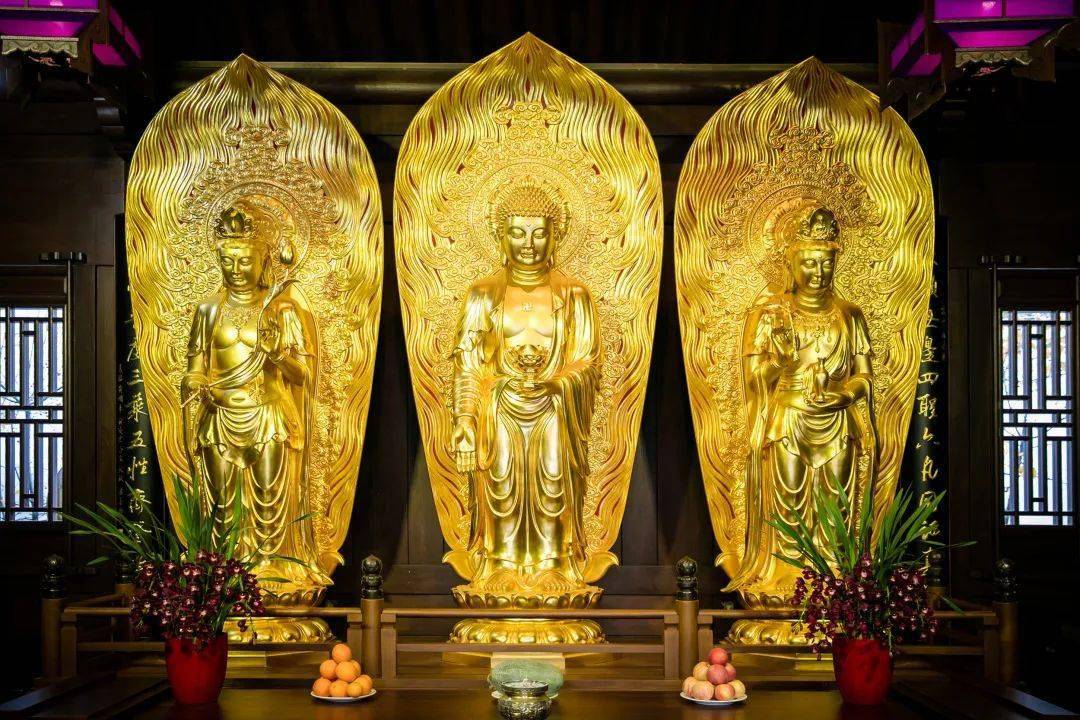 一起变更好丨共赞弥陀,愿所有的亲朋师长都能与他结下善缘_阿弥陀佛