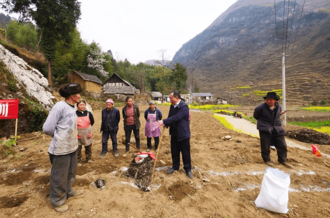 大方县绿塘乡:开展种植技术培训拉开春耕生产序幕_服务_群众_大豆