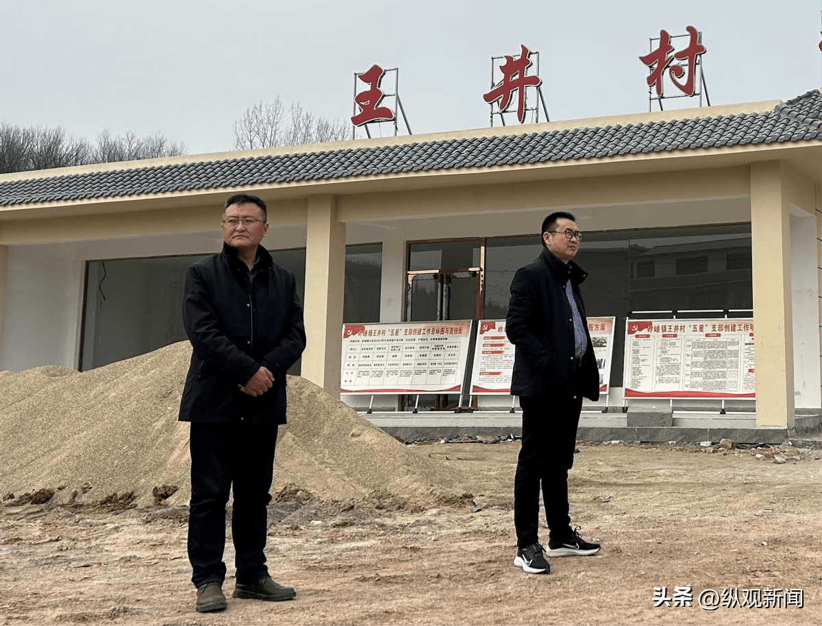 内乡县岞曲镇:"五星"支部创建 既便民又富民_井村_建设_新村