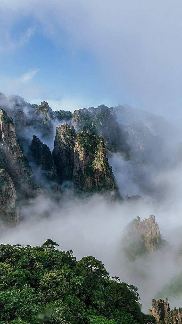 春游黄山|万松林听雨眠,奇峰顶赏云烟_春雨_优惠_山色