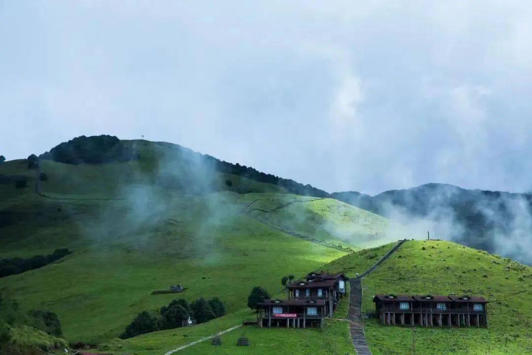 苤菜坝距芒市城区43公里,海拔2500米,是芒市的一片高山沼泽湿地,亦是