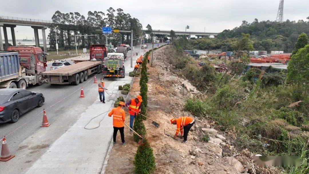 g228线南门桥路段优化工程完工_新会_公路_中心