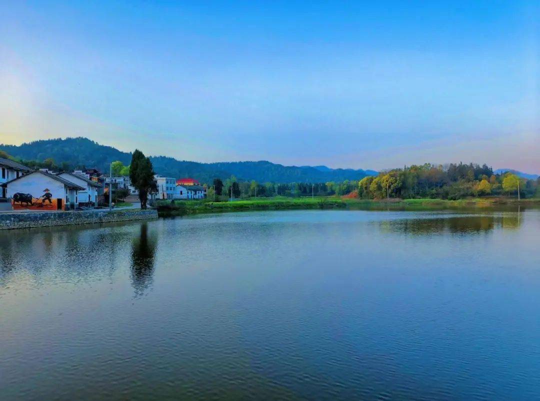 【乡镇人大】袁州区金瑞镇人大:打好"三张牌" 助力乡村振兴跑出"加