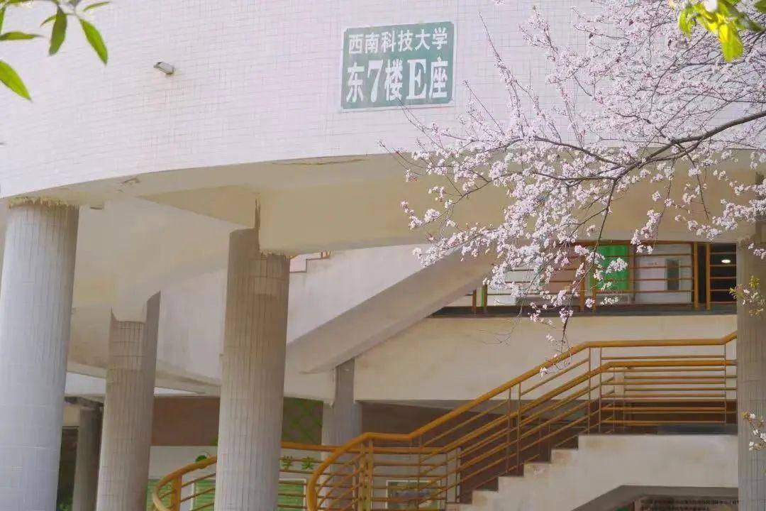 藏在大学里的成都春天