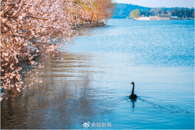 【世界水日·节水周】水只是水吗？它还能够是——泽 漾 渊 湍 潭 涯 涛 澜 涧 雨 雪 雾 冰 露 霜 泉 河 渠 江 湖 海