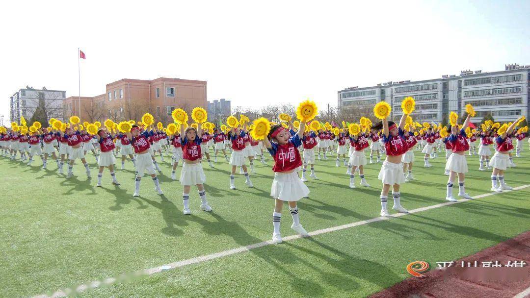 平川区乐雅学校图片图片