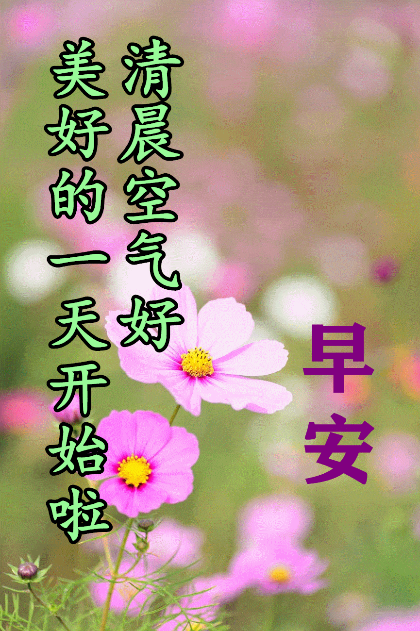 早晨好动图美图大全_人生_什么_问候