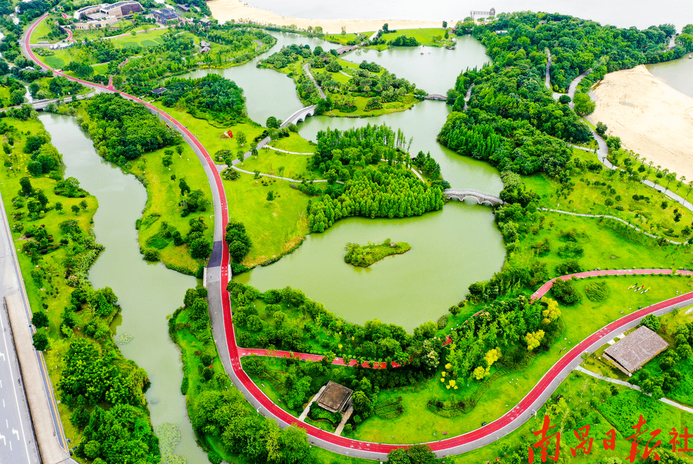 公園_景區_油菜花