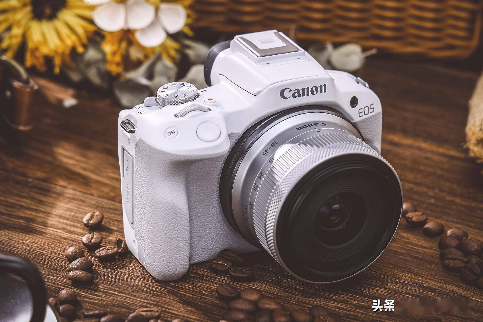 当然如果佳能r10和佳能mark ii m50二代在目前的价格基础上能够降下来