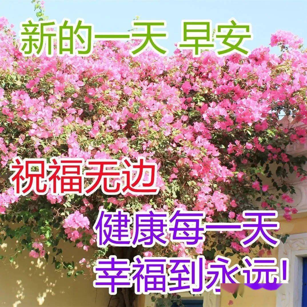 今日最新早上好問候祝福圖片精選,最美的祝福送給你_生活_朋友_陽光