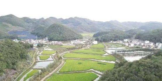 砚山县维摩乡田坝心村开展"金处"飞歌——田坝心"三月三"壮乡风情体验