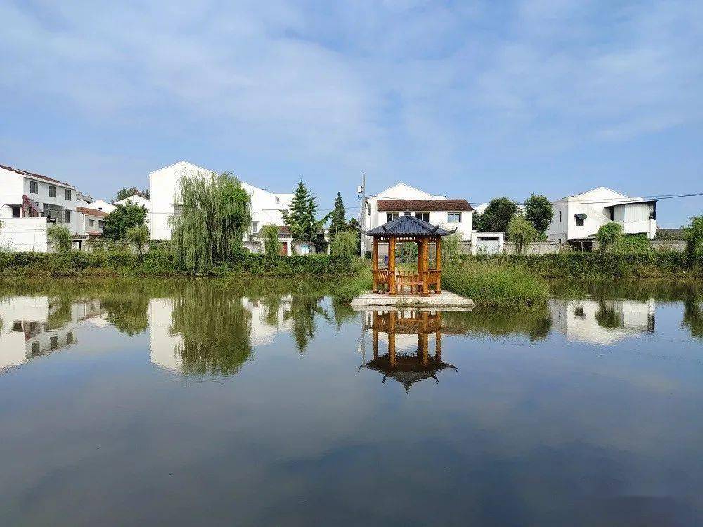 老河口李楼镇:村庄美了,村民富了,乡风好了_营村_环境_文明