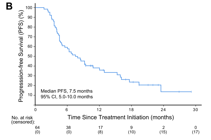 ���й�����������������ڡ���ǿ�����Ŷ����ֳɹ����� ...
