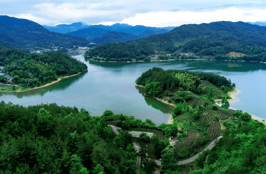 相约安徽 向春而行丨安徽桐城:邂逅春光赏春景_市委宣传部_中共_黄甲